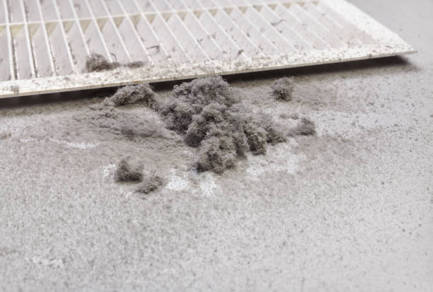 Best Commercial Air Duct Cleaning  in Green Springs, OH